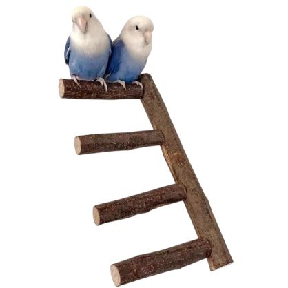 bird-ladder-main