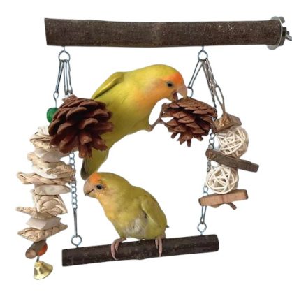 Bird Toys